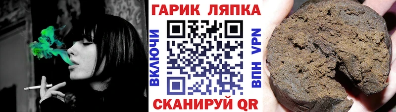 Купить где  Асино  ГАШ Premium 